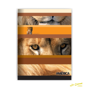 Cuadernos America X 48 T/F Rayado
